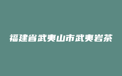 福建省武夷山市武夷岩茶