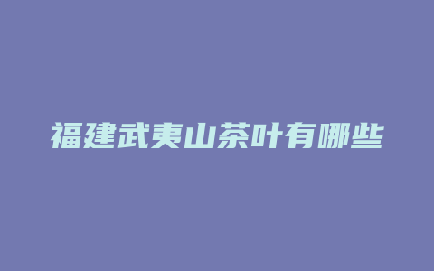 福建武夷山茶叶有哪些