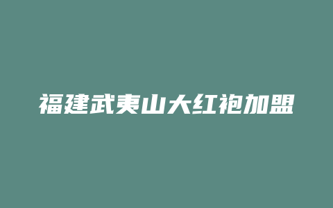 福建武夷山大红袍加盟