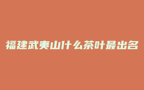 福建武夷山什么茶叶最出名