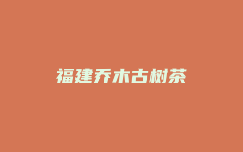 福建乔木古树茶