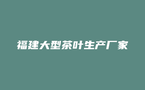 福建大型茶叶生产厂家