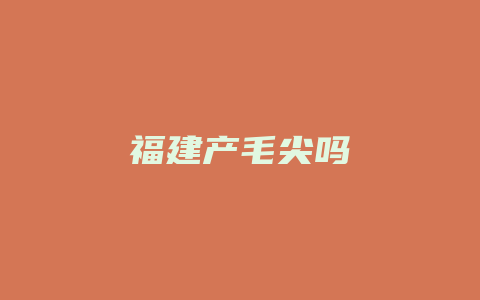 福建产毛尖吗