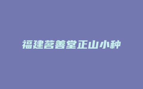 福建茗善堂正山小种