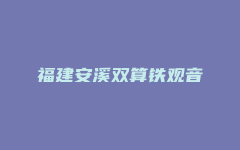 福建安溪双算铁观音