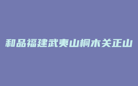 和品福建武夷山桐木关正山小种