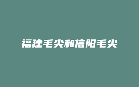 福建毛尖和信阳毛尖