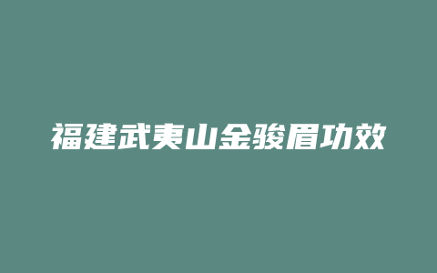 福建武夷山金骏眉功效