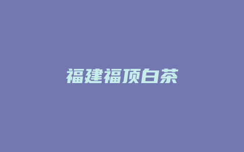 福建福顶白茶