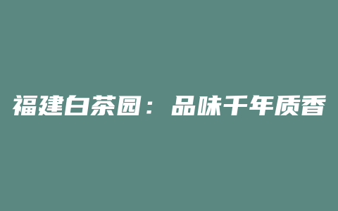 福建白茶园：品味千年质香，一刻回味百世情