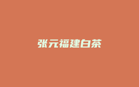 张元福建白茶