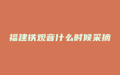 福建铁观音什么时候采摘