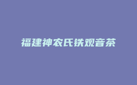 福建神农氏铁观音茶