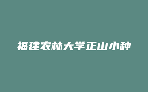 福建农林大学正山小种