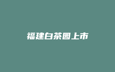 福建白茶园上市