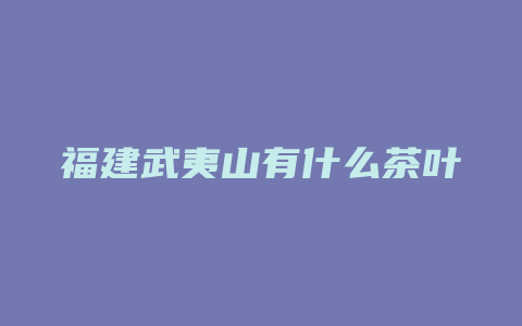 福建武夷山有什么茶叶