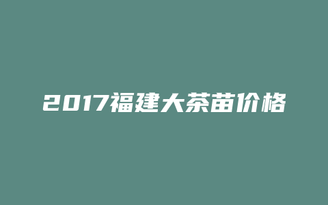 2017福建大茶苗价格