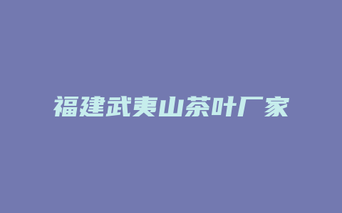 福建武夷山茶叶厂家