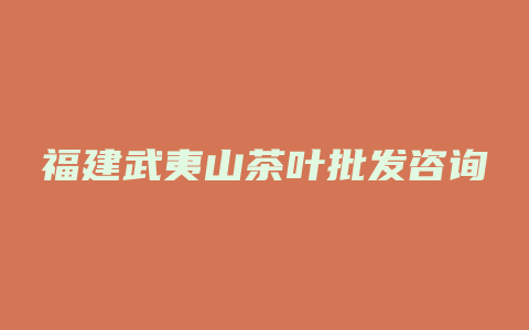 福建武夷山茶叶批发咨询