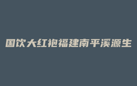 国饮大红袍福建南平溪源生态茶业有限公司