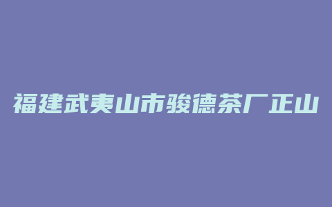 福建武夷山市骏德茶厂正山小种茶叶价格