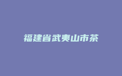 福建省武夷山市茶