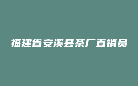 福建省安溪县茶厂直销员