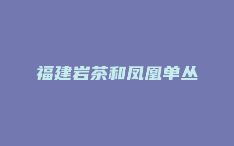 福建岩茶和凤凰单丛