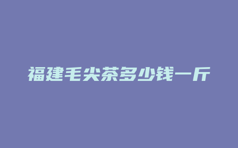 福建毛尖茶多少钱一斤