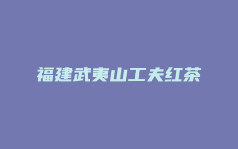 福建武夷山工夫红茶