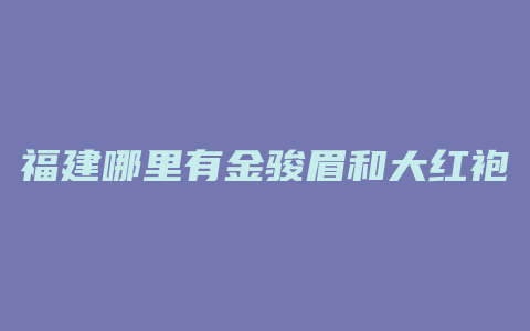 福建哪里有金骏眉和大红袍茶叶