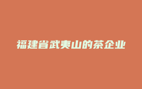 福建省武夷山的茶企业