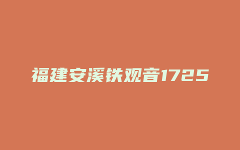 福建安溪铁观音1725