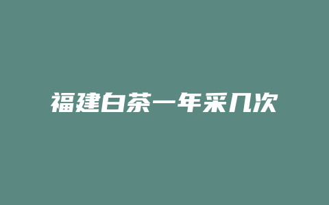 福建白茶一年采几次