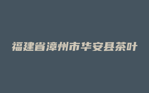 福建省漳州市华安县茶叶