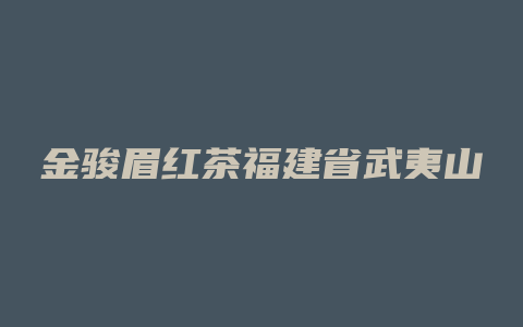 金骏眉红茶福建省武夷山