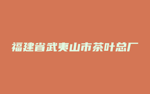 福建省武夷山市茶叶总厂