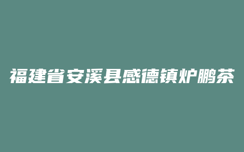 福建省安溪县感德镇炉鹏茶场 qs