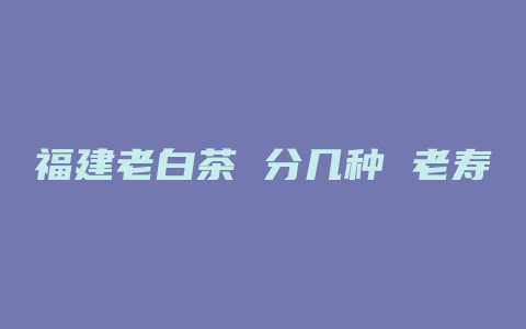 福建老白茶 分几种 老寿眉