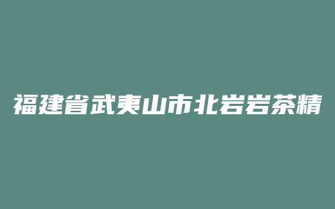 福建省武夷山市北岩岩茶精制厂