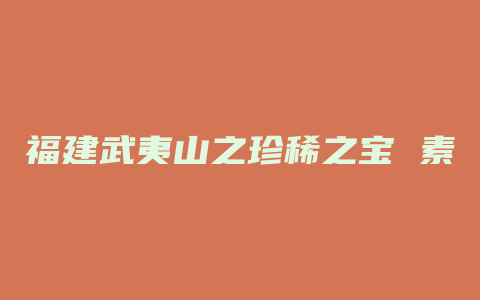 福建武夷山之珍稀之宝 素心兰美不胜收