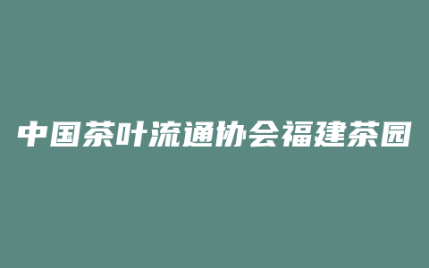 中国茶叶流通协会福建茶园面积