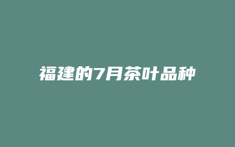 福建的7月茶叶品种